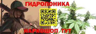 наркотики Гусев