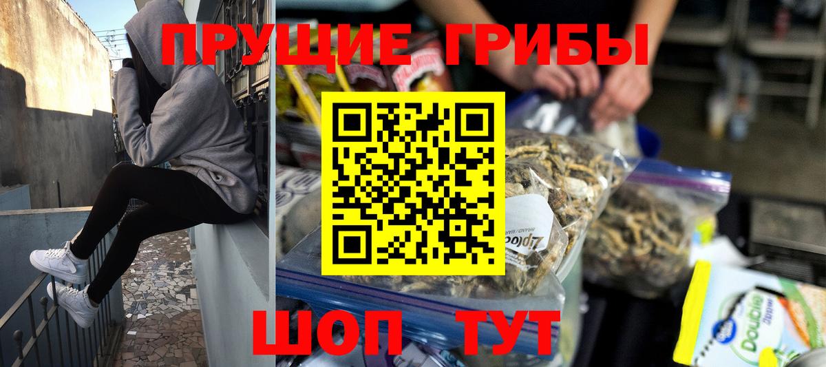 Псилоцибиновые грибы GOLDEN TEACHER  Вход с VPN  Миасс  Галлюциногенные грибы мухоморы 